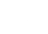 renoirr