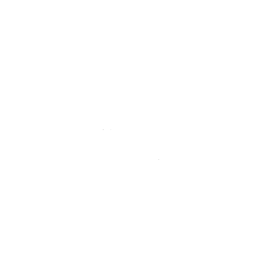 renoirr